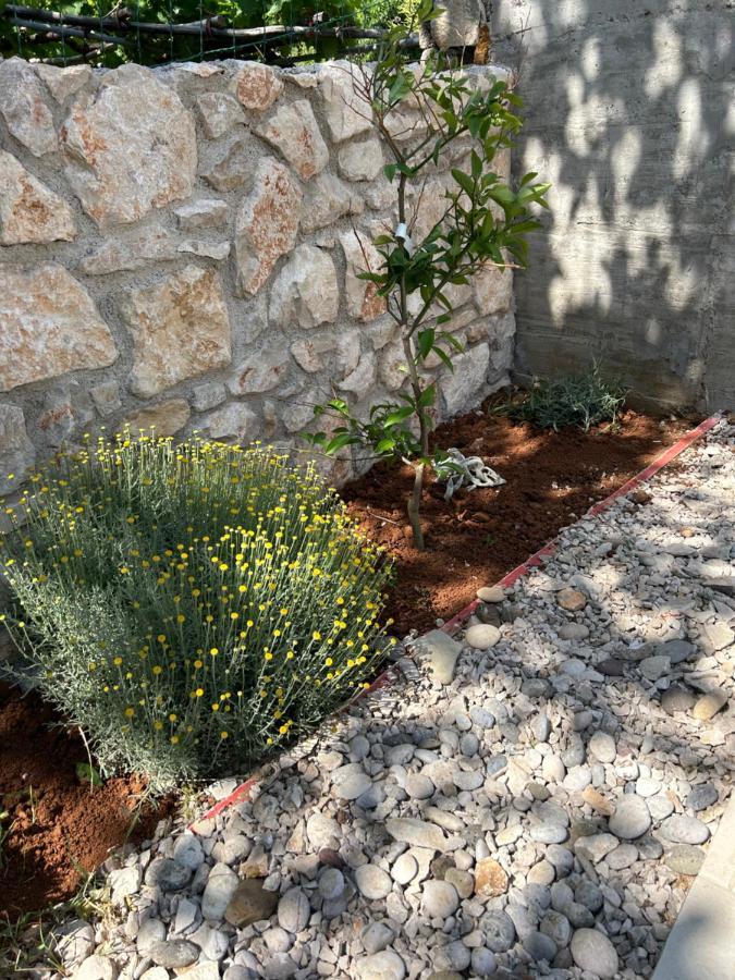 Bonvivan House Diminići Εξωτερικό φωτογραφία