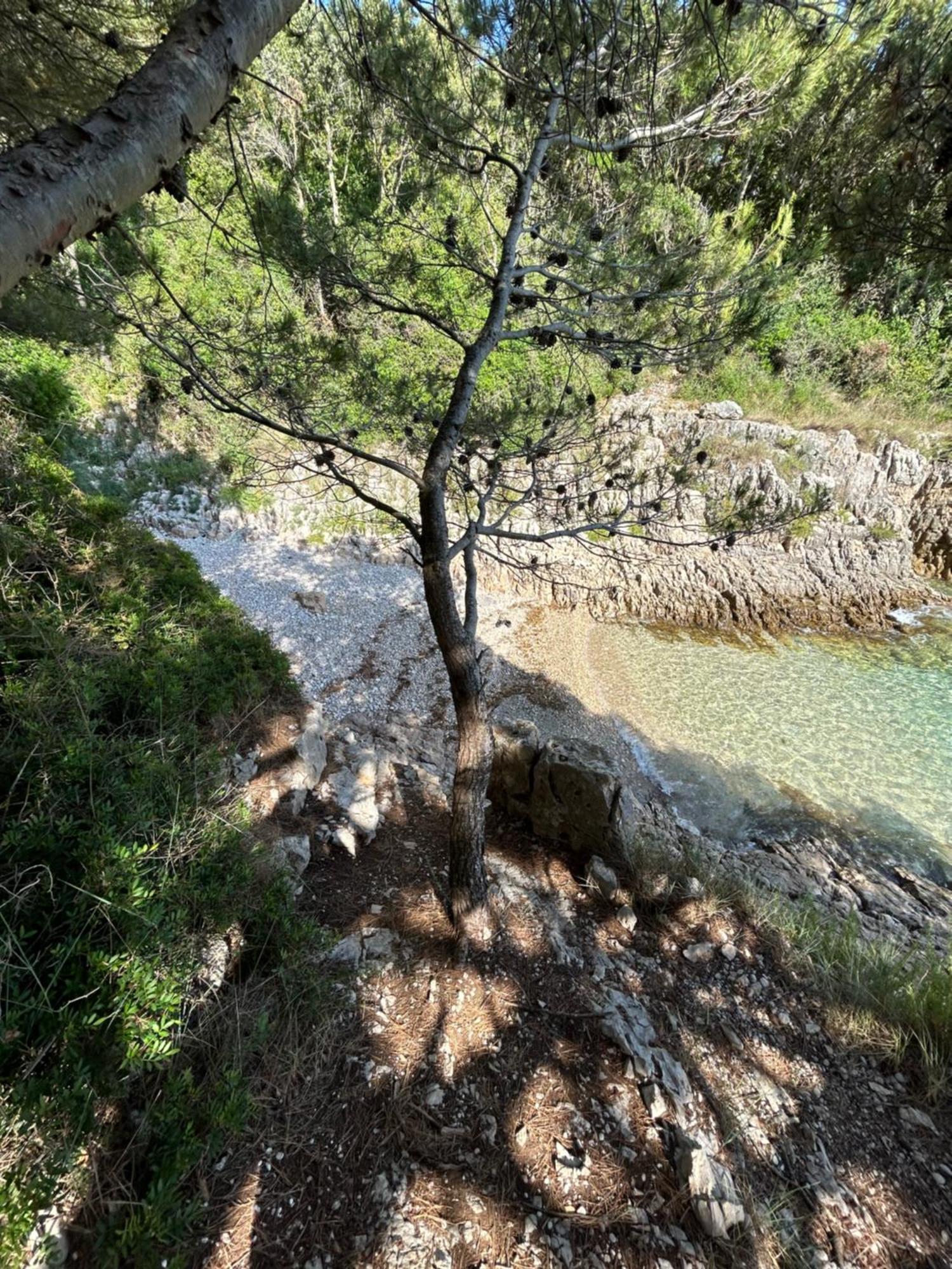 Bonvivan House Diminići Εξωτερικό φωτογραφία
